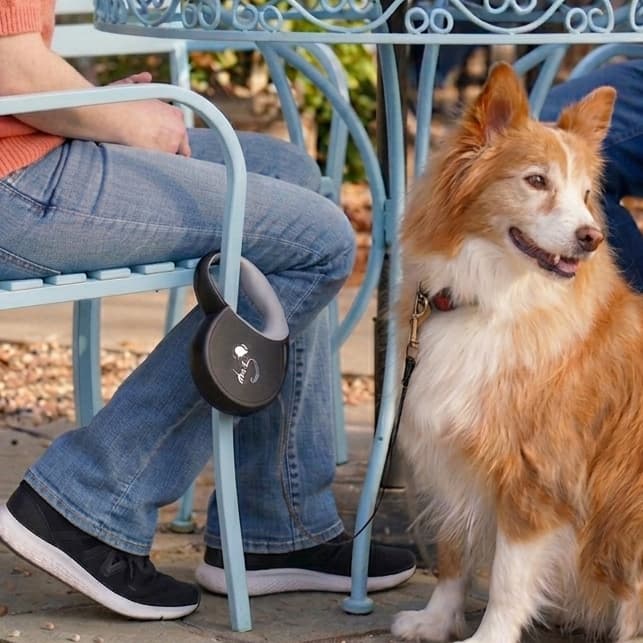 The Best Retractable Dog Leash for Coffee Shops (Sip in Peace With Your Pup)