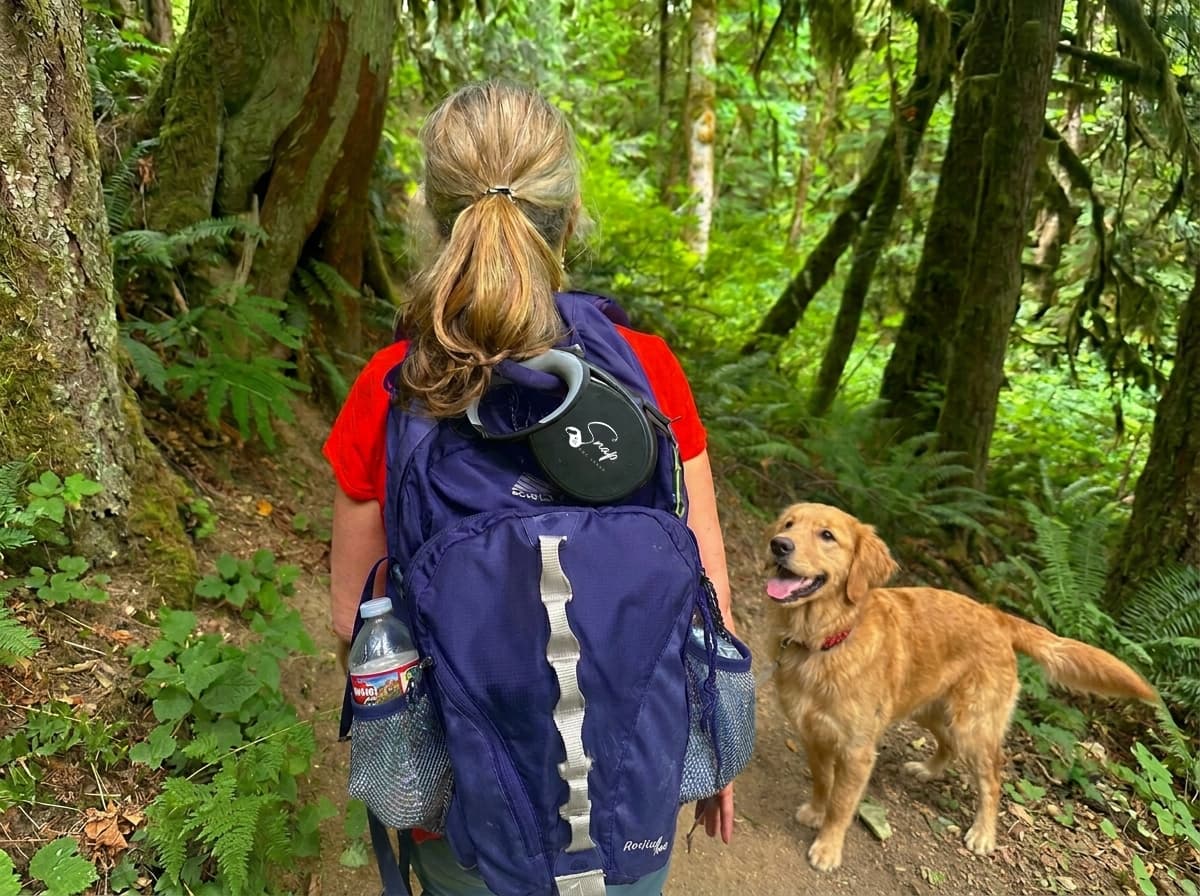 The Best Retractable Leash for Hands-Free Hikes With Your Dog