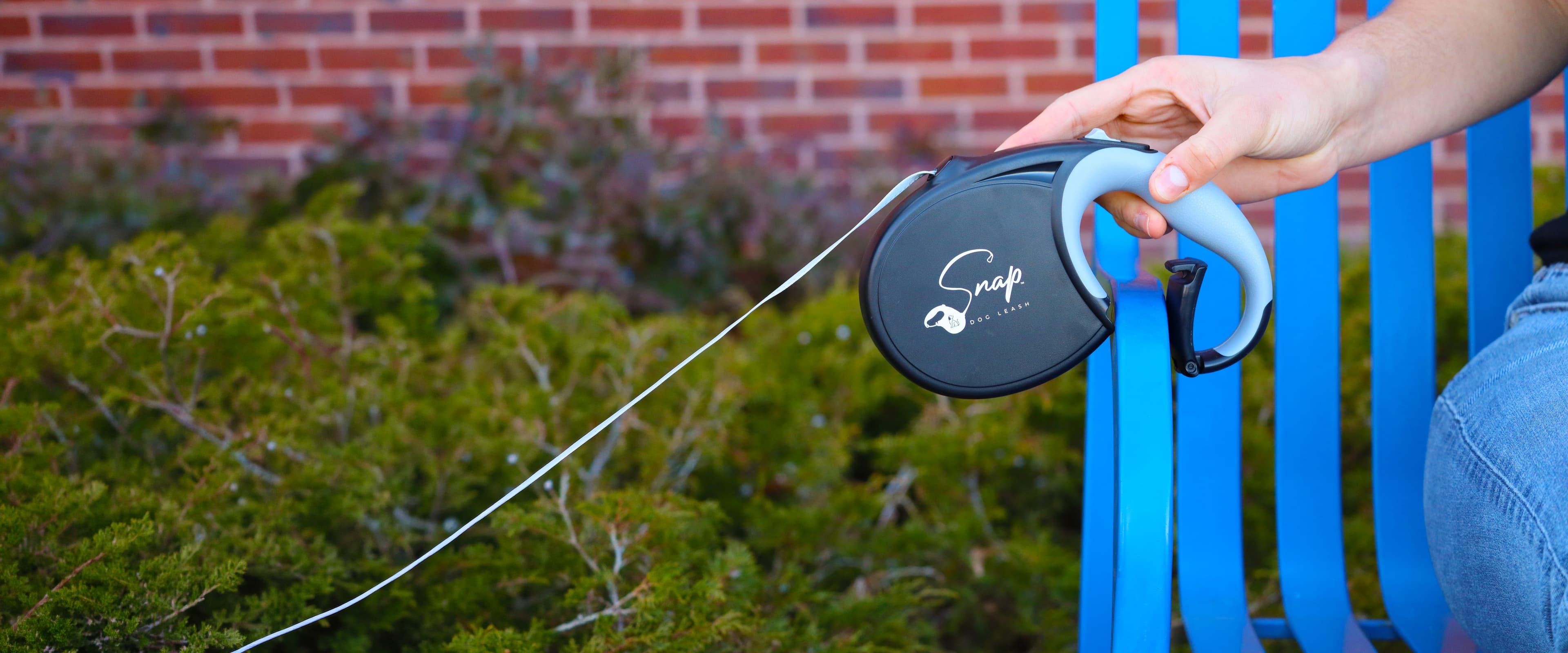 Dog enjoying freedom and adventure outdoors on the Snap Dog Leash retractable dog leash with clip